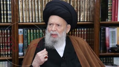 من هو السيد محمد حسين فضل الله ويكيبيديا