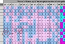 هل الجدول الصيني صحيح تجارب؟