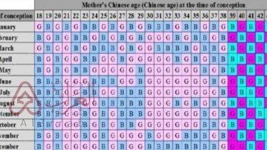 هل الجدول الصيني صحيح تجارب؟