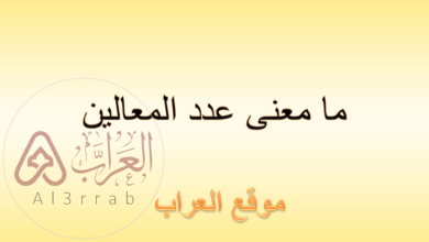 ما معنى عدد المعالين