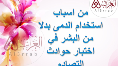 من اسباب استخدام الدمى بدلا من البشر في اختبار حوادث التصادم