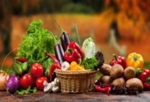 تحتاج الأجسام للخضروات والفواكة . جمع التكسير في الجملة التاليه هو