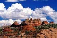 جميع العوامل التالية يمكن أن تسبب التجوية ما عدا