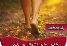 رواية شمس وبيجاد الكيلاني كاملة pdf بقلم زينب مصطفى