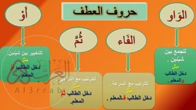 كان الشاب طفلا ثم صبيا المعطوف عليه في الجملة