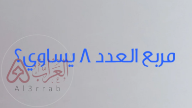 مربع العدد ٨ يساوي
