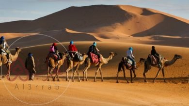 الحسيني وش يرجعون ، أصل قبيلة الحسيني من وين