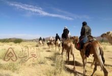 الشهيلي وش يرجعون ، اصل الشهيلي من أي قبيلة