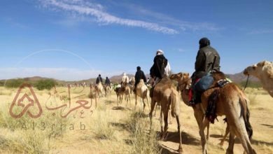 الشهيلي وش يرجعون ، اصل الشهيلي من أي قبيلة