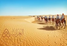 الكبيسي وش يرجعون والى أي عائلة ينتمون