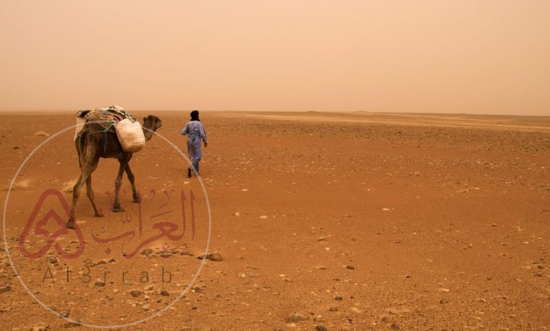 النملة وش يرجعون ، أصل النملة من أي قبيلة