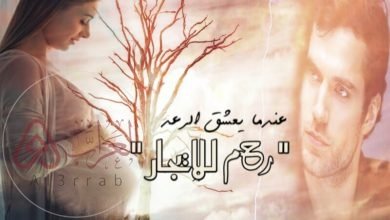 رواية رعد وهمس عندما يعشق الرعد جميع الاجزاء pdf