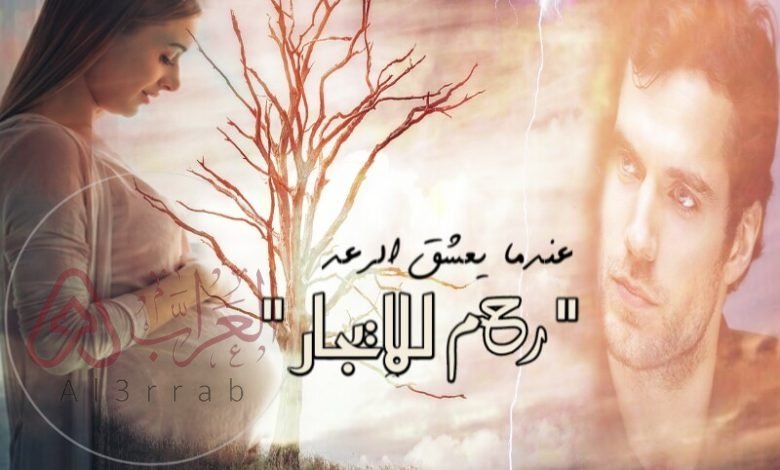 رواية رعد وهمس عندما يعشق الرعد جميع الاجزاء pdf