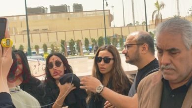 سبب وفاة والد دينا الشربيني ويكيبيديا ومعلومات عنها