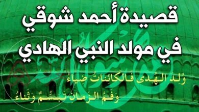 شعر عن المولد النبوي ولد الهدى مكتوب وأجمل القصائد 1445
