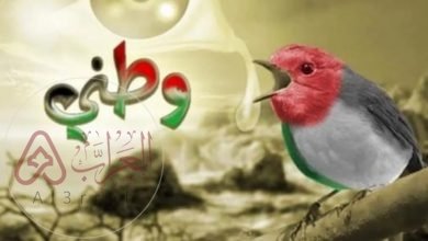 شعر عن الوطن اجمل شعر عن حب الوطن 2023
