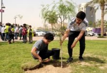 ما هو يوم التخضير في الكويت واهم فعالياته