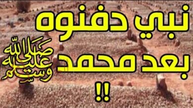 من هو النبي الذي دفن بعد سيدنا محمد
