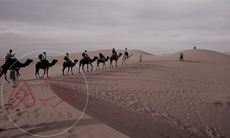 من هو الوايلي ويكيبيديا وما هو أصله من وين