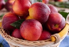 هل الخوخ يزيد الوزن وما هي فوائده