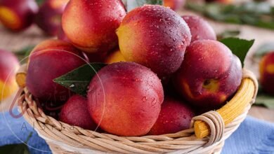 هل الخوخ يزيد الوزن وما هي فوائده