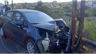 فيديو وفاة زوجة الياس الحصروني بحادث سير على طريق عين ابل رميش