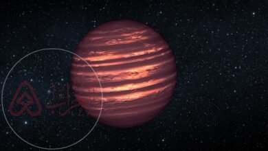 ما هو القزم البني وما هي خواصه