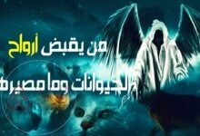 هل ملك الموت يقبض روح الحيوانات