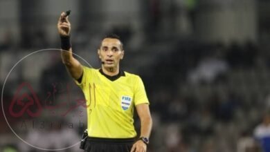 من هو الحكم مصطفى غربال ويكيبيديا وأهم المعلومات عنه