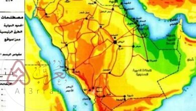 ظهرت عدة دول بشبه الجزيرة العربية. ما هي الدول التي ظهرت باليمن