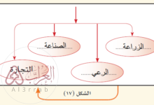 ما هي الأنشطة الاقتصادية التي مارسها العرب قبل الإسلام؟