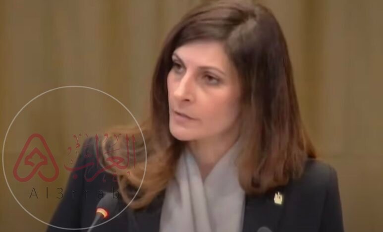 من هي الدكتورة ياسمين موسى ويكيبيديا صاحبة مرافعة مصر في محكمة العدل الدولية