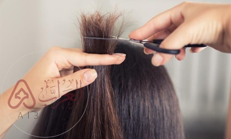 أفضل أوقات قص الشعر في مارس 2024 ميلاديا وهجريا.. مواعيد قص الشعر في اذار