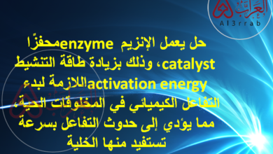 حل يعمل الإنزيم enzyme محفزًا catalyst ، وذلك بزيادة طاقة التنشيط activation energy اللازمة لبدء التفاعل الكيميائي في المخلوقات الحية، مما يؤدي إلى حدوث التفاعل بسرعة تستفيد منها الخلية