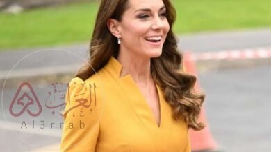 فيديو لأول ظهور لأميرة كيت.. تفاصيل قضية الأميرة كيت حتى الآن