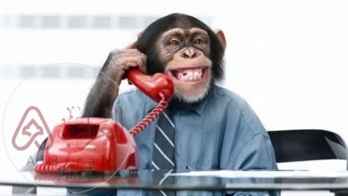 ما هو أذكى حيوان في العالم ويكيبيديا