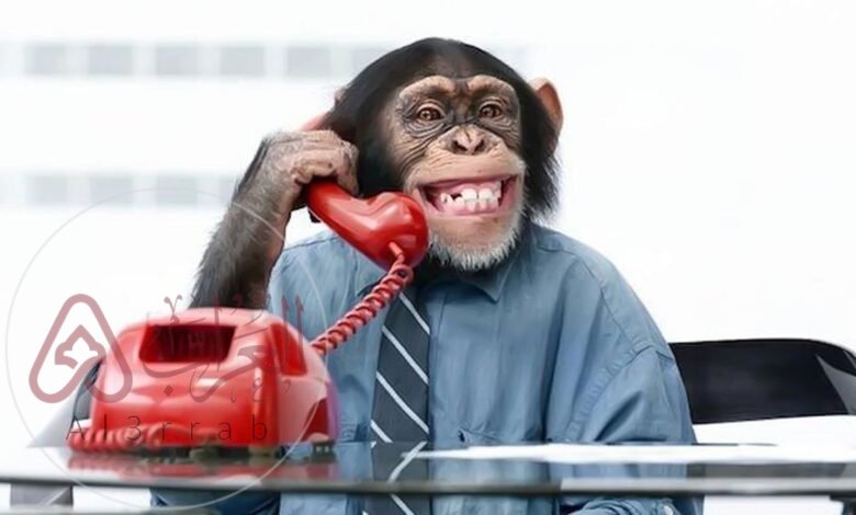 ما هو أذكى حيوان في العالم ويكيبيديا