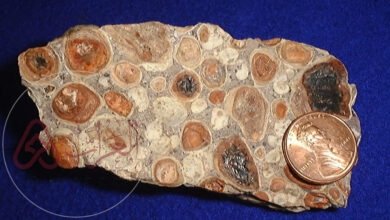 ماذا نقصد بالبوكسيت المتواجد بأوقيانوسيا