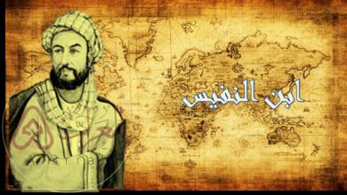 من هو مكتشف الدوره الدمويه الصغرى ويكيبيديا واهم المعلومات عنها