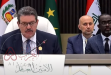 من هو محمد حامل ويكيبيديا الأمين العام الجديد لمنتدى الدول المصدرة للغاز