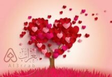 رواية حب بالخطأ كاملة جميع الفصول pdf للكاتبة أمنية يوسف