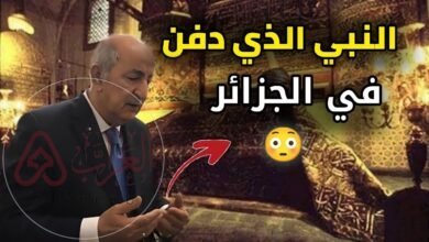 من هو النبي الذي دفن في الجزائر