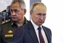 من هو شويغو سكرتير مجلس الأمن الروسي الجديد