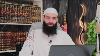 من هو محمد بن شمس الدين ويكيبيديا السيرة الذاتية