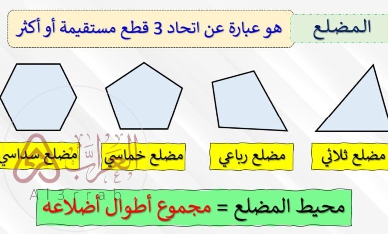 المضلع هو شكل مستوي مفتوح