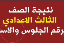 رابط نتيجه الصف الثالث الاعدادي محافظه البحيره بالاسم 2024 فيتو
