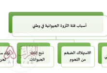 من اسباب قله الثروه الحيوانيه في وطني