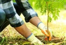 من عوامل نجاح الزراعه