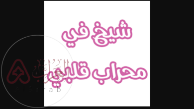 رواية شيخ في محراب قلبي pdf كاملة للكاتبة رحمة نبيل