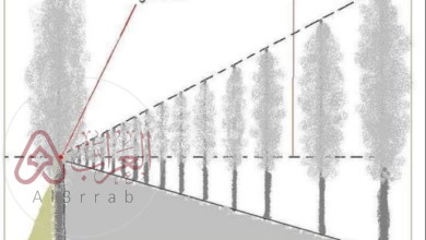 تعتبر نقطة التلاشي من العناصر المستخدمة لتنفيذ الأعمال الفنية ولها عدة أشكال كما ترتكز على عدة قواعد